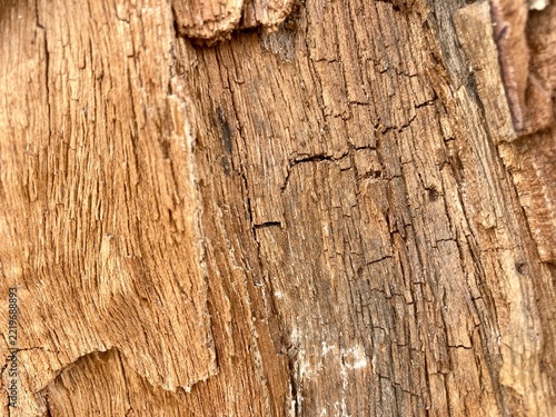 Wood texture displays a natural weathered surface featuring deep cracks and rough grain patterns across the aged timber.