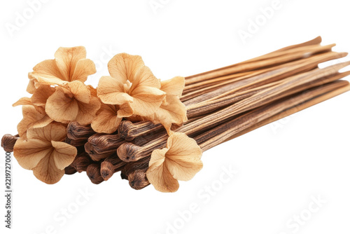 Vanilla flower pods and sticks isolat isolated on white background for product catalog, ecommerce, advertising and commercial design projects