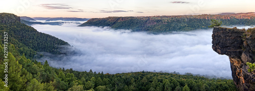 Panoramic view of Elbe River canyon with autumn inversion fog, green forests and sandstone rock formations in Czech Republic