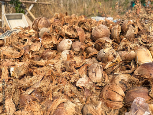 Coconut Husks Pile Raw Fiber Coir Shell Agriculture Waste for Biofuel Biomass and Recycling Industry