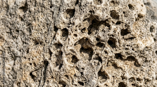 Pitted Limestone Surface with Eroded Rock Texture, Porous Karst Topography and Weathered Stone for Geological Backgrounds, Earth Science Education, and Design Resources.