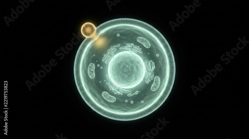 Cell membrane nucleus organelle biology vaccine research microscopic science medical