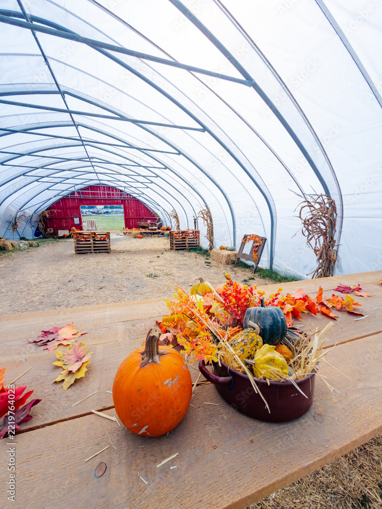 Fototapeta premium A pumpkin and a pot of gourds occupy a table inside a tunnel. The curved roof spans a straw covered aisle ending at a red wall with an open doorway.