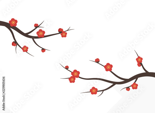 Elegant Cherry Blossom Branch with Pink Flowers and Buds in Bloom.