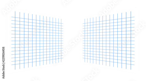 Two rectangular white paper sheets with blue grid lines, angled in perspective, isolated on a white background, for note taking concepts