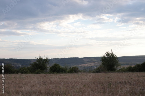 Cloudy sky over a grassy field at dusk.