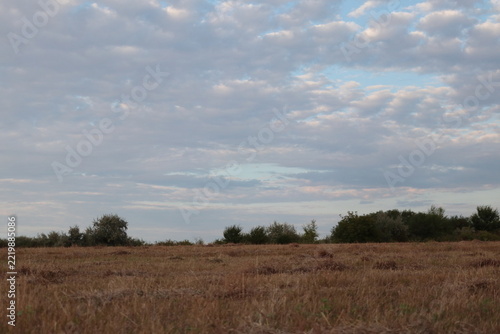 Cloudy sky over a grassy field at dusk.