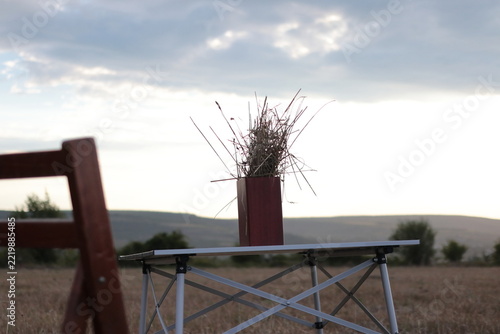 Table with a vase of dried plants in a field.