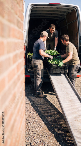 Three Workers Unloading Crates of Fresh Greens From Delivery Van Using Ramp