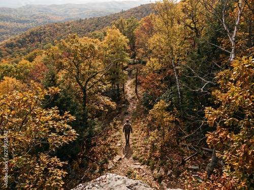 Person hiking through vibrant autumn forest trail with colorful