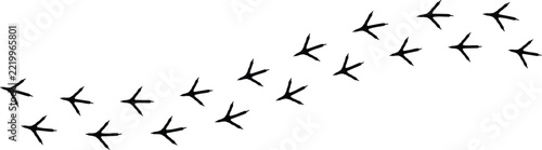 Walking Bird Footprints Silhouette Set with Natural Tracks and Animal Tracks Vector Illustration