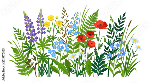 Vibrant Wildflower Meadow: Lupine, Poppies, Daisies, Ferns