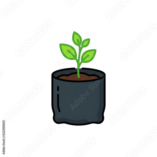 Small Green Plant Seedling in Nursery Bag