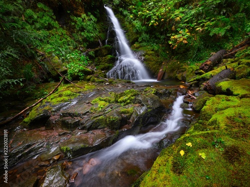 Scenic Skate Creek Falls in Washington.