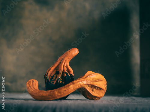 Pumpkins still life