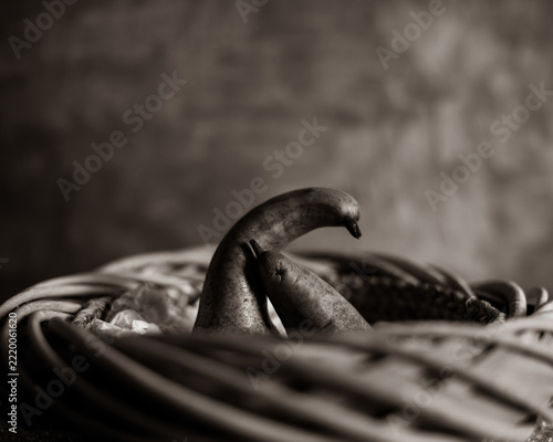 close up of a pair of pears