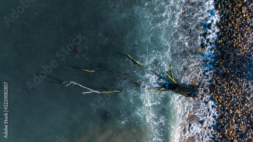 An overhead view of a beach coast in Mexico in the morning, featuring blue water and rocks; a fallen tree trunk lies on the shore, with waves washing over it.