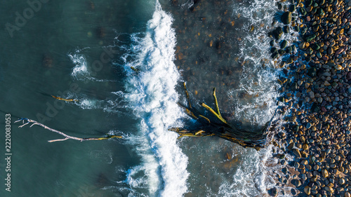 An overhead view of a beach coast in Mexico in the morning, featuring blue water, rocks, and a fallen tree trunk.