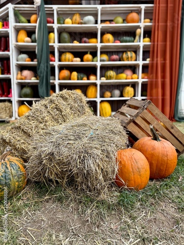 Autumn Pumpkins and Straw Bales Photo Zone Display