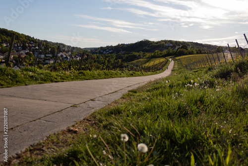 Vineyard road overlooking Steinbachtal in Würzburg, Germany