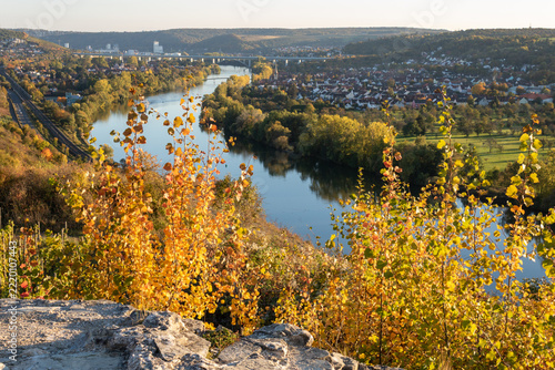 Autumn foliage framing the Main River near Veitshöchheim, Germany