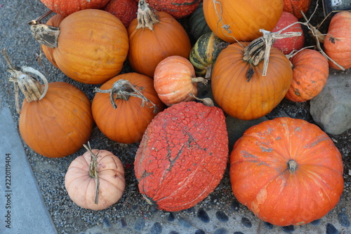 orange pumpkins 