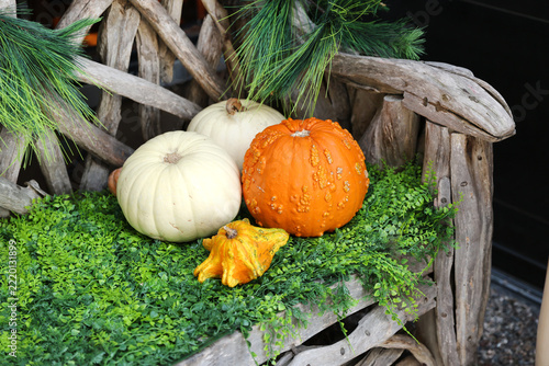pumpkins on bench
