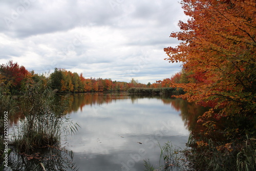 Fall Foliage reflecting on a pond