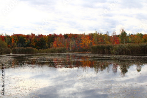 Fall Foliage reflecting on a pond
