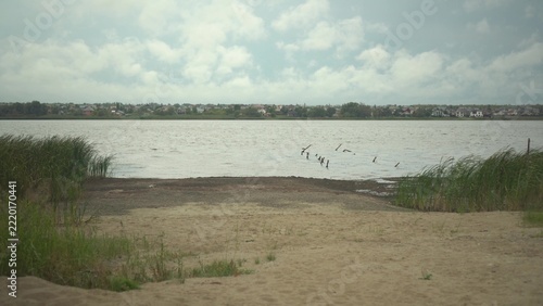 Lake Shore in Windy and Cloudy Weather as Camera Moves Toward the Water