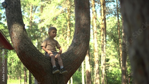 Little Child Sitting on a Tree Branch Fork in Nature, Camera Panning