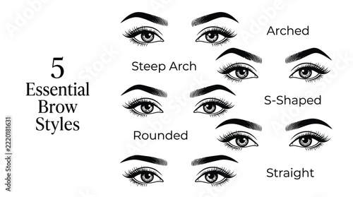 Detailed vector illustration showcasing five essential eyebrow styles with labeled guides and elegant typography