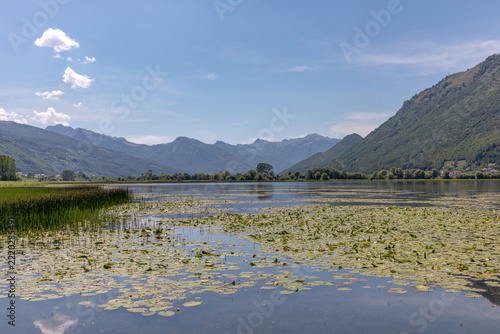 A scenic view of Lake Plav covered with blooming water lilies and reeds near Prokletije National Park, Plav Municipality, Montenegro, framed by majestic green mountain ranges under blue sky