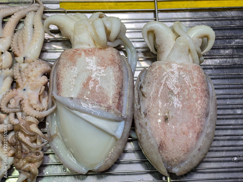 Fresh squid with pale, speckled mantles and curled tentacles are displayed on a metal rack over a stainless steel surface.