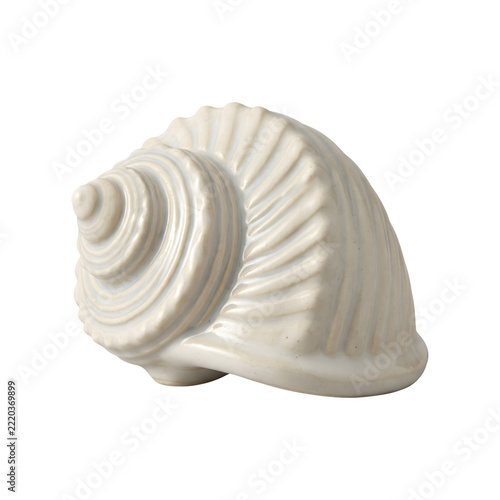 White seashell with intricate spiral pattern isolated on transparent background.