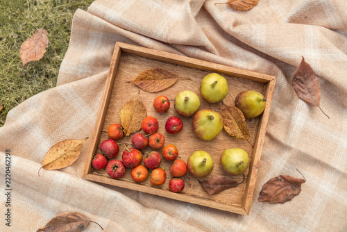 Autumn Fruits in Wooden Tray on Meadow with Dry Leaves Still