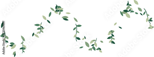 Green leaves flowing in a gentle wave against a clean white background