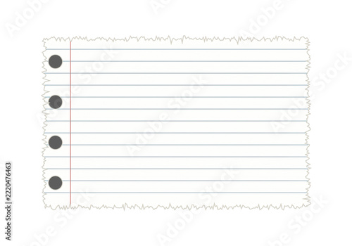White lined notebook paper sheet with punched binder holes isolated on transparent background for design