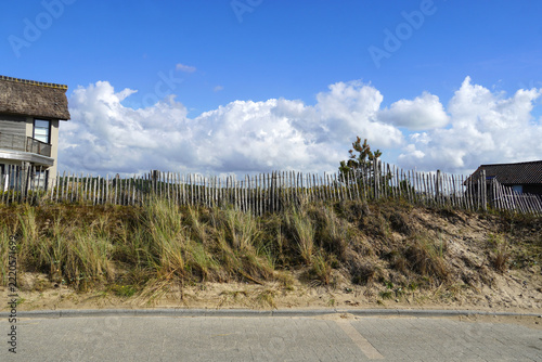 Close up street with Dutch dunes, marram grass, houses behind a wooden fence. Steet near the North Sea. Blue sky with clouds. Netherlands, October, Autumn.