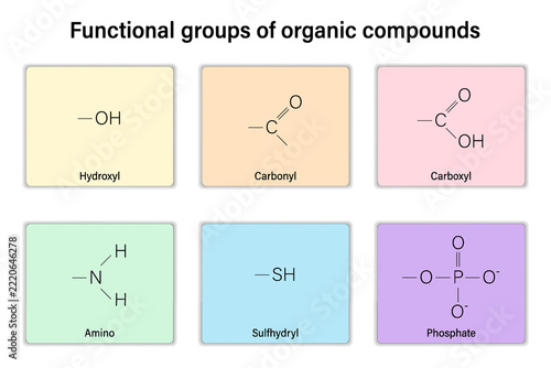 Functional groups of organic compounds. Hydroxyl, Carbonyl, Carboxyl, Amino, Sulfhydryl and Phosphate.