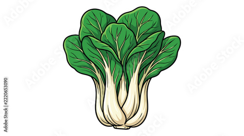 Fresh Bok Choy Vegetable Illustration Isolated on White Background, Healthy Food Ingredient for Culinary Designs