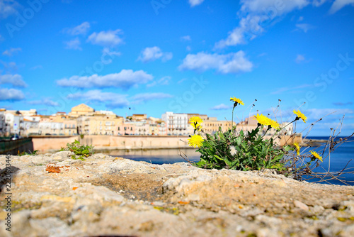 Sunny Coastal View of Ancient Buildings on Ortigia Island, Syracuse, Sicily