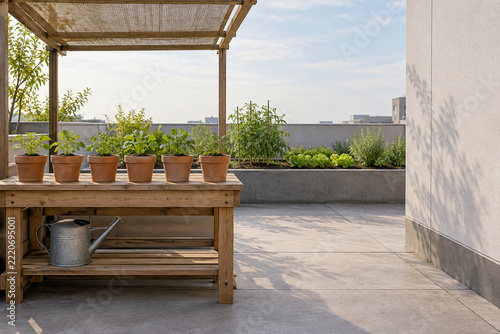 Potting station with seedlings in a sunny rooftop garden