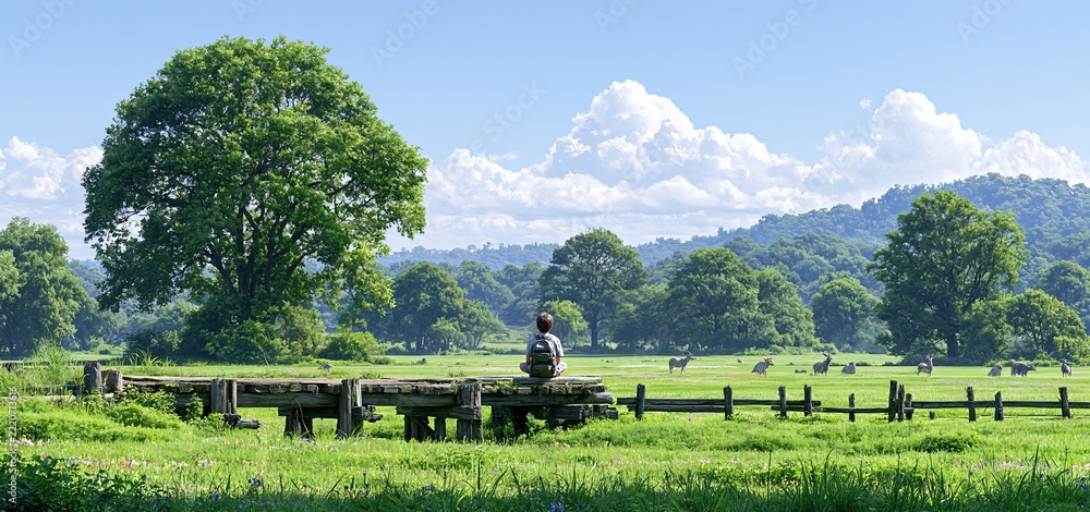 Naklejka premium On a rustic wooden bridge, a thoughtful child gazes over a vibrant green meadow in peaceful countryside surroundings.