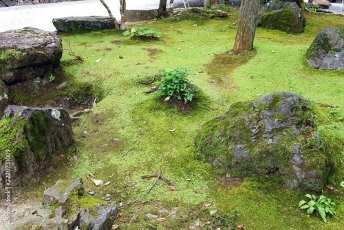 Photography August 12, 2026; Kyoto City, Kyoto Prefecture, Japan