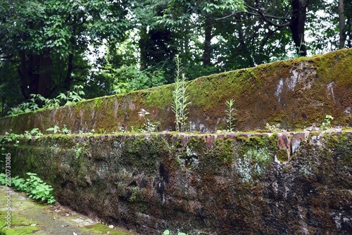 Photography August 12, 2026; Kyoto City, Kyoto Prefecture, Japan
