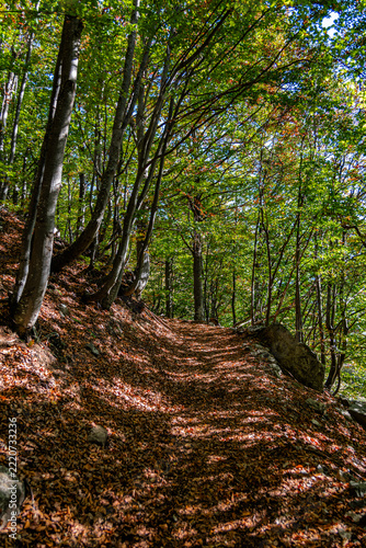 L’autunno sta arrivando al Lago del Vej del Bouc, in Valle Gesso, tra stambecchi e camosci