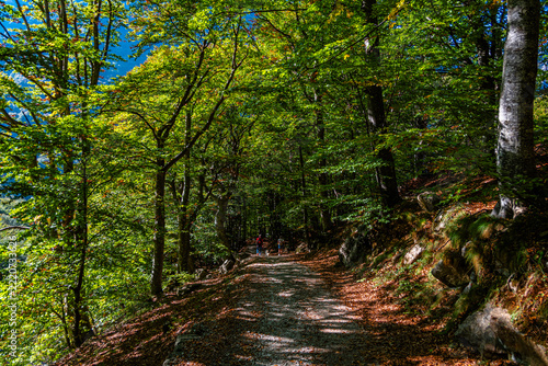 L’autunno sta arrivando al Lago del Vej del Bouc, in Valle Gesso, tra stambecchi e camosci