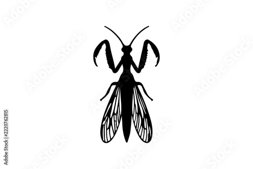  a praying mantis vector design 