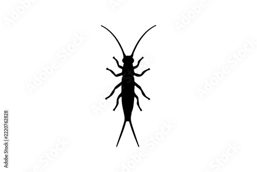 a black silhouette of a silverfish